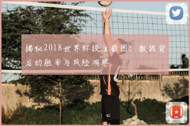 揭秘2018世界杯投注截图：数据背后的胜率与风险洞察