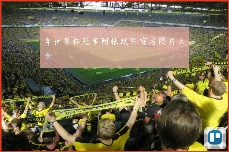 年世界杯冠军阿根廷队官方图片大全