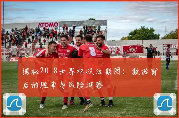 揭秘2018世界杯投注截图：数据背后的胜率与风险洞察