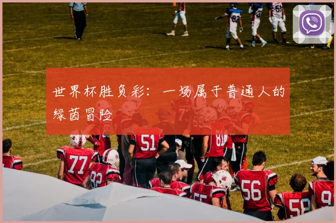 世界杯胜负彩：一场属于普通人的绿茵冒险